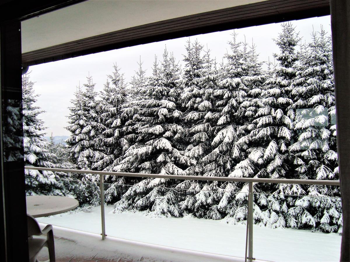 Ferienhaus Beja Winterberg Eksteriør billede